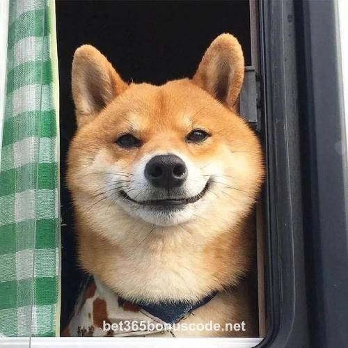 Avatar do usuário Advait